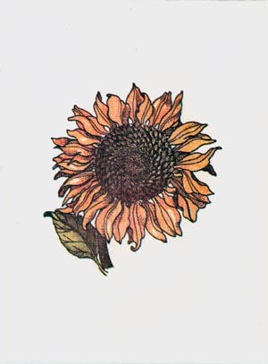 big sunflower card
