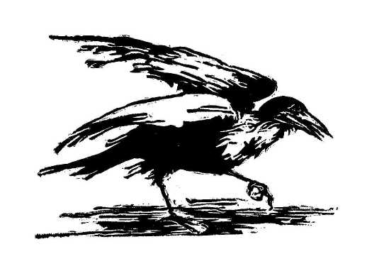 Dancing Crow