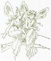 fairies