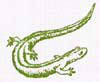 salamander