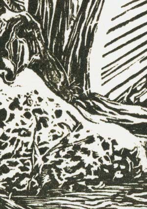 wood engraving detail