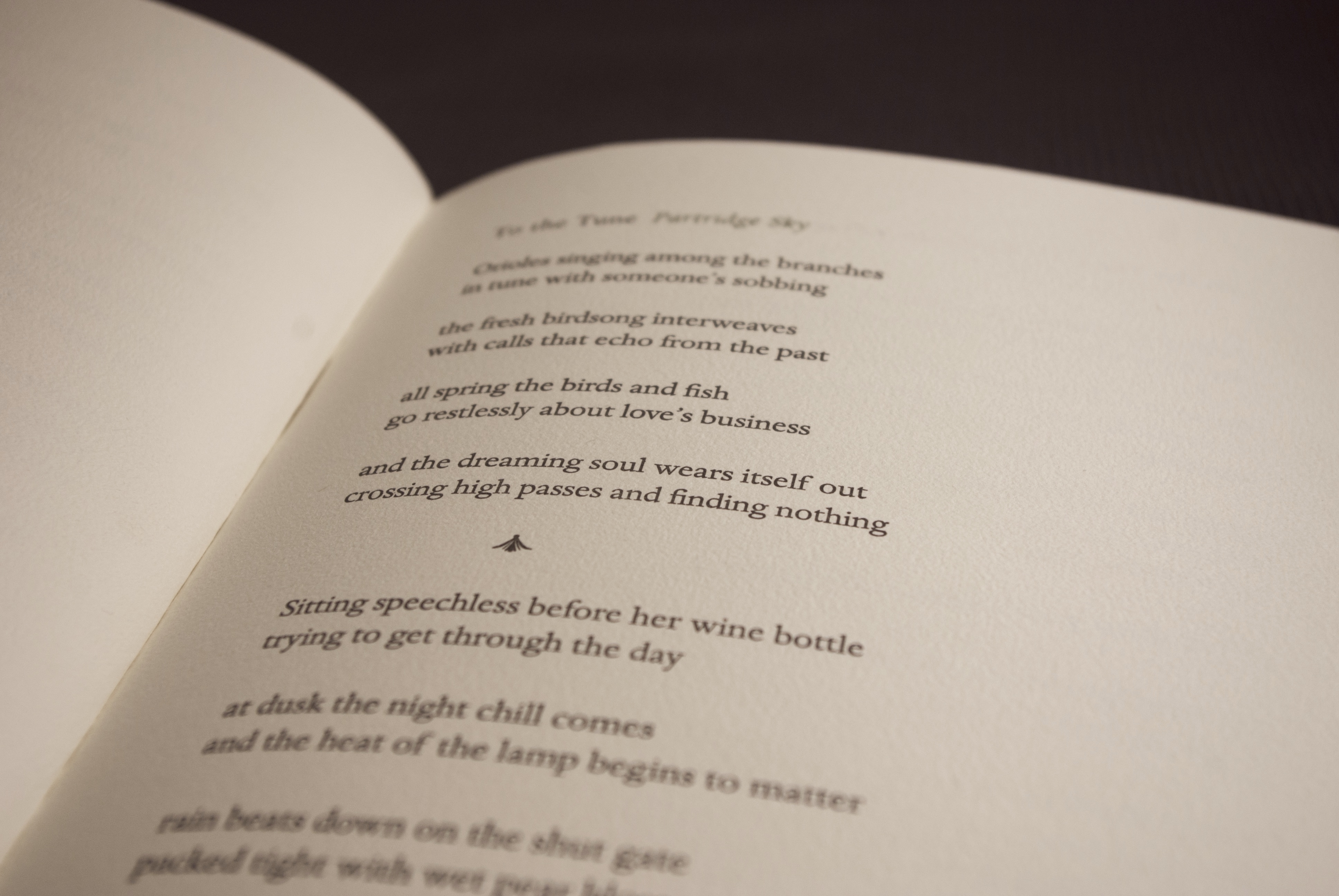 Partridge Sky poem spread