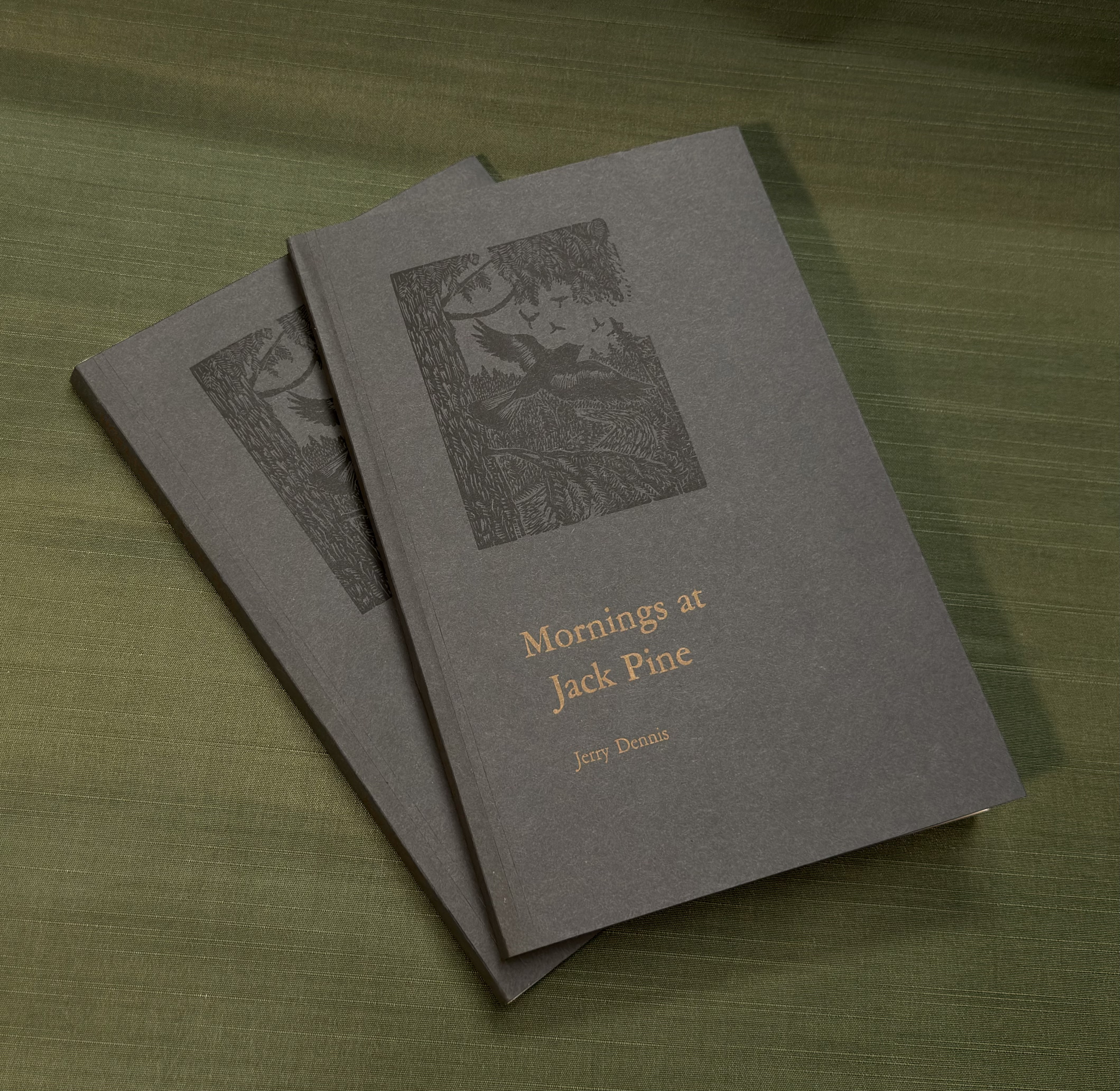 paperback copy